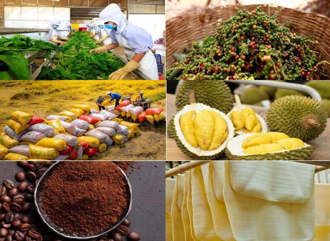 Giá nông sản hôm nay 13/6: Tiêu đi ngang, cà phê bật tăng mạnh, gạo xuất khẩu giảm nhẹ
